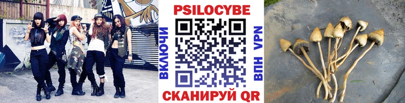 Псилоцибиновые грибы Cubensis где найти Серпухов